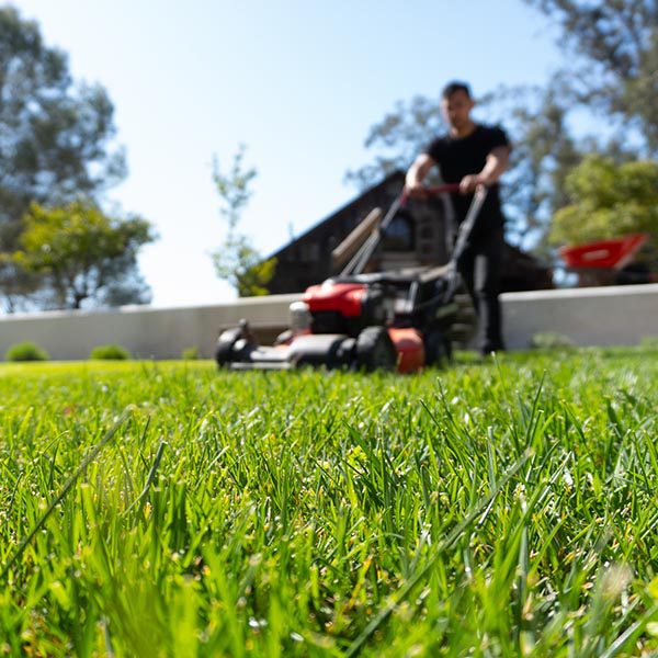 landscape-maintenance-40